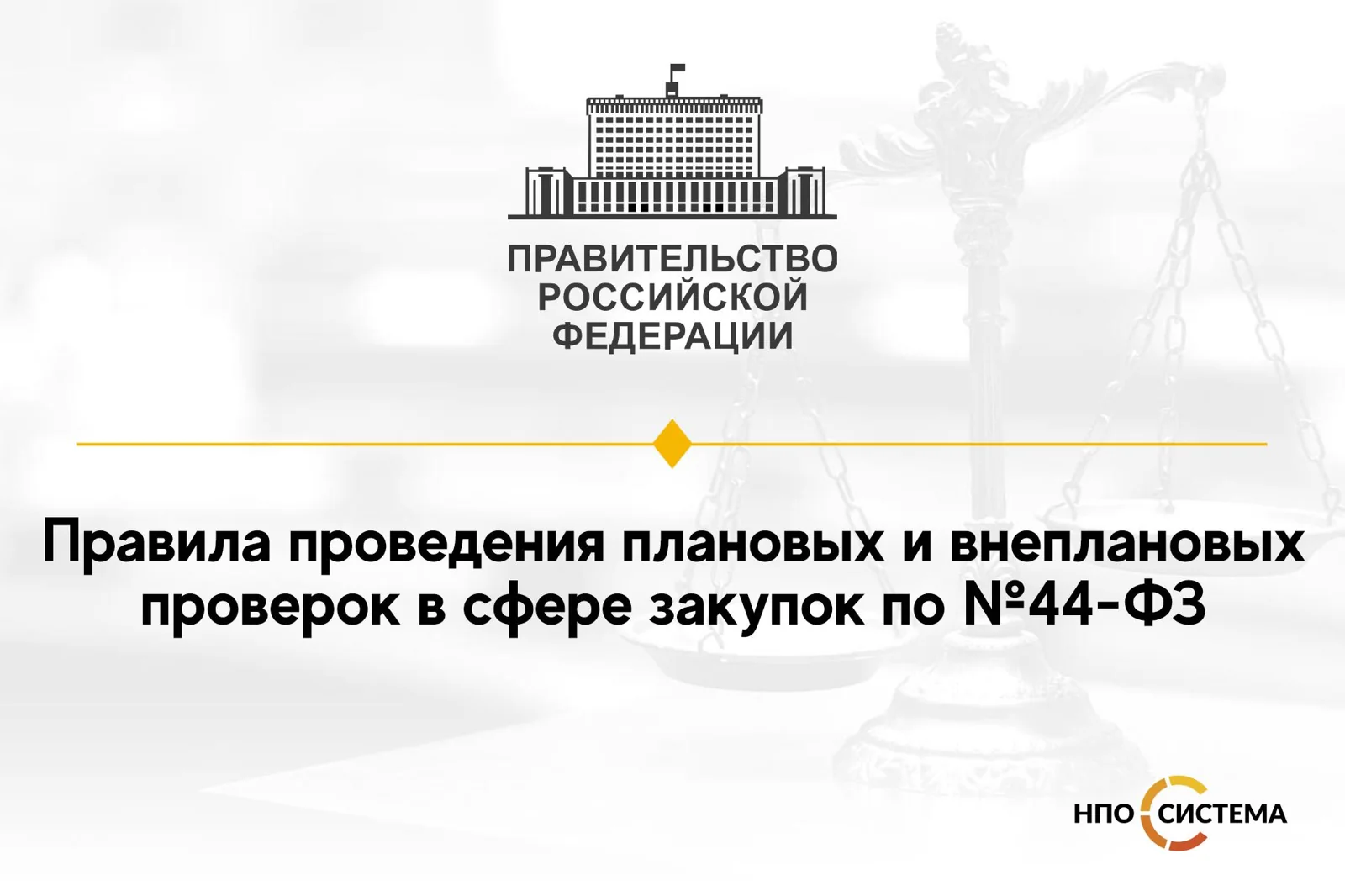 Определены правила проведения проверок по №44-ФЗ