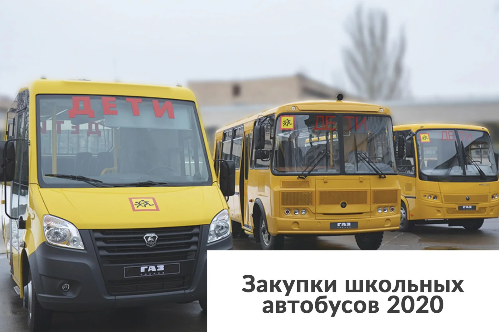 Закупки школьных автобусов 2020